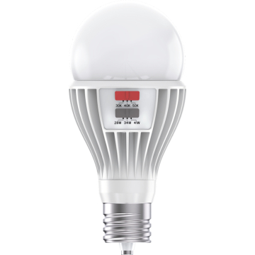 RAB PS30 LED HID Replacement Bulb - 6,000 Max Lumens - 28 | 34 | 41W - EX39 - 120-277V
