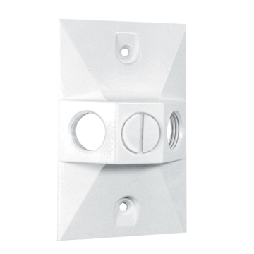 RAB 3 Hole Die Cast 4" Rectangular Cover - White