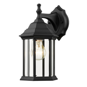 Z-Lite Waterdown 1-Light Outdoor Wall Sconce - 120V - Black / Clear