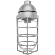 RAB 150W Max Pendant Mount Vaporproof Light Natural 120V