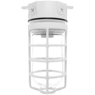 RAB 150W Ceiling Mount Vaporproof Light White 120V