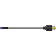 RAB TEMP LIGHT 277V Plug