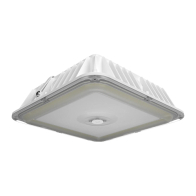 RAB VAN17 LED Canopy Light - 40 | 50 | 60W - 120-277V - White - Battery Backup