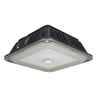 RAB VAN17 LED Canopy Light - 30 | 40 | 50W - 120-277V