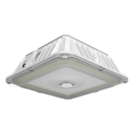 RAB VAN17 LED Canopy Light - 20 | 25 | 30W - 120-277V - White - Battery Backup
