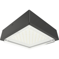 RAB VAN34 Amber LED Canopy Light - 1,864 Lumens - 60W - Amber - Drop Lens - Motion Sensor - On/Off Photocell - 120-277V