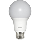 RAB 9W LED A19 Lamp - 5000K - 800 Lumens - 120V