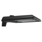 RAB A22 Field Adjustable LED Area Light - 320 | 280 | 250W - CCT Selectable - Type IV - Pole Mount - 120-277V - Bronze