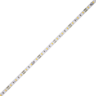 DiodeLED BLAZE X 100 LED Tape Light - 16.4FT Reel - 5000K - 12V