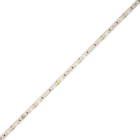 DiodeLED BLAZE X 200 LED Tape Light - 100FT Reel - 2000K - 24V