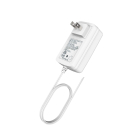 DALS 60W Plug-In Driver for 24V COB Tape