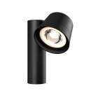 DALS Orbit LED Landscape Light - 10W - RGBW Tunable - 24V