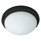 Maxim Lighting 1-Light Ceiling Fan Light Kit - Black
