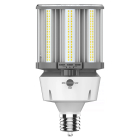 RAB LED HID Retrofit Lamp - EX39 Base - CCT Selectable - 120-277V