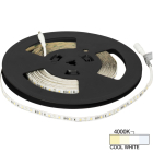 Task Lighting Radiance LED Tape Light - 32FT Reel - IP65 Wet Location - 4000K - 1.5W / FT - 120 Lumens / FT - 12V