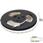 Task Lighting Vivid LED Tape Light - 32FT Reel - IP65 Wet Location - 4000K - 2.8W / FT - 225 Lumens / FT - 12V