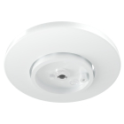RAB PIVOT Track Light Surface Mount Kit - Medium - White