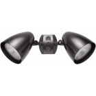 RAB Dual Head PAR Flood Kit - Bullet Hood - 120V - Bronze