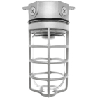 RAB 150W Ceiling Mount Vaporproof Light Natural 120V