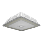 RAB VAN17 LED Canopy Light - 70 | 80 | 90W - 120-277V - White