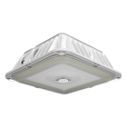 RAB VAN17 LED Canopy Light - 30 | 40 | 50W - 120-277V - White