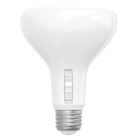 RAB BR30 LED Lamp - Dimmable - E26 Base - 19W - CCT Selectable - 2,434 Lumens - 120V