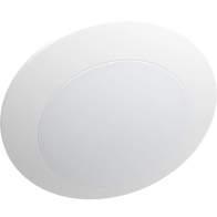 RAB DISK17 6