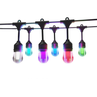 RAB GLOW Extension String - 25' - 12 RGBTW S14 Bulbs