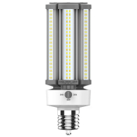 RAB LED HID Retrofit Lamp - EX39 Base - CCT Selectable - 120-277V