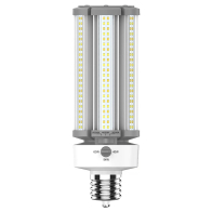 RAB LED HID Retrofit Lamp - EX39 Base - CCT Selectable - 120-277V