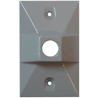 RAB 1 Hole Die Cast 4" Rectangular Cover - Silver Gray