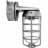 RAB 150W Max Wall Mount Vaporproof Light - Natural - 120V