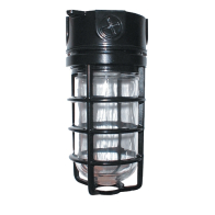 RAB 150W Ceiling Mount Vaporproof Light Black 120V