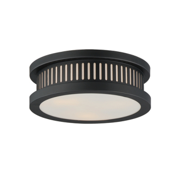 Maxim Lighting Oxford Outdoor 3-Light Flush Mount - 120V - Black