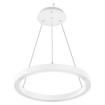 RAB BOA Ring Single Ring Downlight LED Pendant - 5,573 Max Lumens - 12 | 20 | 24 | 28 | 40W - CCT Selectable - 2 ft - White - 120-277V