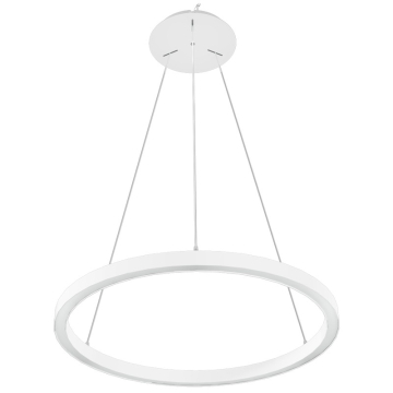 RAB BOA Ring Single Ring Downlight LED Pendant - 7,962 Max Lumens - 18 | 30 | 36 | 42 | 60W - CCT Selectable - 3 ft - White - 120-277V