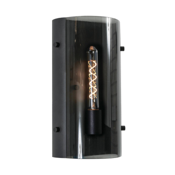 AFX Dana 14" Wall Sconce - 120V - Black
