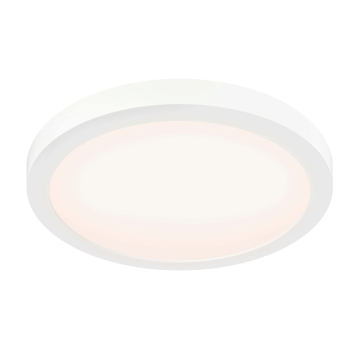 DALS Prime 12" Costal Rated LED Flush Mount - 20W - CCT Selectable - 120V - White
