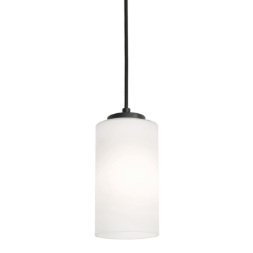 AFX Leo 6" Medium Base Pendant - 120V - Black