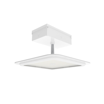 RAB MASI LED Canopy Light - 16,129 Max Lumens - 60 | 80 | 100W - CCT Selectable - 120-277V