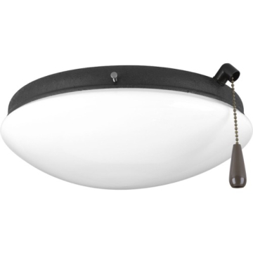 Progress Lighting AirPro 2-Light Indoor/Outdoor Ceiling Fan Light Kit - Forged Black