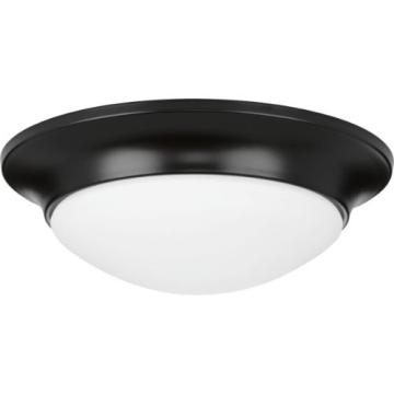Progress Lighting Etched 11.5" Glass Close to Ceiling Light Fixture - 120V - Matte Black