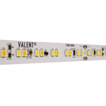 DiodeLED VALENT Warm Dim LED Tape Light - 150 Lumens / FT - 30K-18K - 16.4FT Reel - 24V
