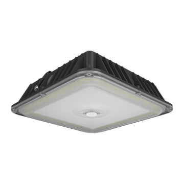 RAB VAN17 LED Canopy Light - 40 | 50 | 60W - 120-277V