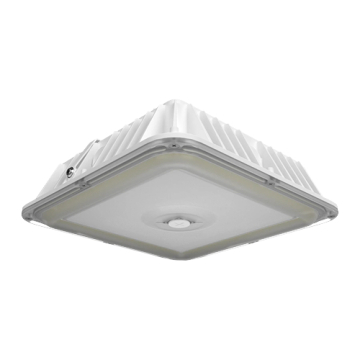 RAB VAN17 LED Canopy Light - 40 | 50 | 60W - 120-277V - White