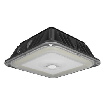 RAB VAN17 LED Canopy Light - 20 | 25 | 30W - 120-277V