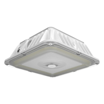 RAB VAN17 LED Canopy Light - 20 | 25 | 30W - 120-277V - White