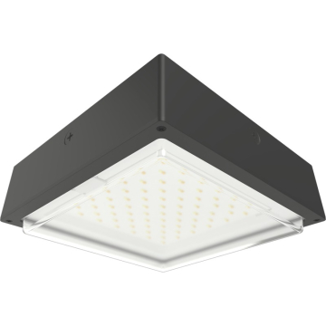RAB VAN34 Amber LED Canopy Light - 1,864 Lumens - 60W - Amber - Drop Lens - Motion Sensor - On/Off Photocell - 120-277V