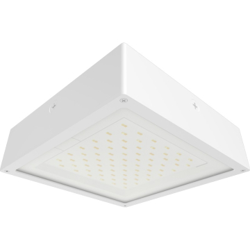 RAB VAN34 Amber LED Canopy Light - 1,964 Lumens - 60W - Amber - Flat Lens - On/Off Photocell - 120-277V