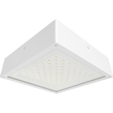 RAB VAN34 LED Canopy Light - Flat Lens - 4,734 Max Lumens - 20 | 25 | 30W - On/Off Photocell - 120-277V